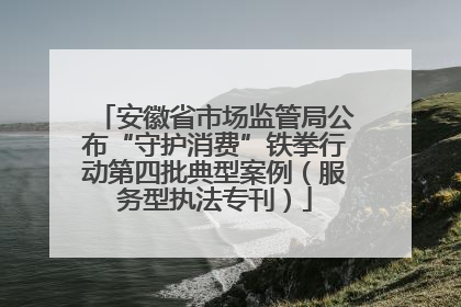 安徽省市场监管局公布“守护消费”铁拳行动第四批典型案例（服务型执法专刊）