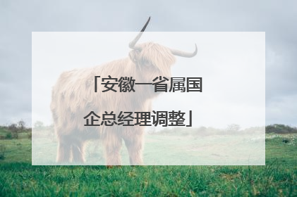 安徽一省属国企总经理调整