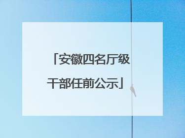 安徽四名厅级干部任前公示