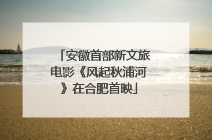 安徽首部新文旅电影《风起秋浦河》在合肥首映