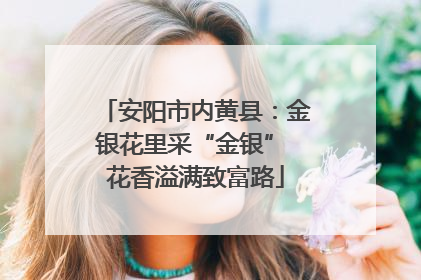 安阳市内黄县：金银花里采“金银” 花香溢满致富路