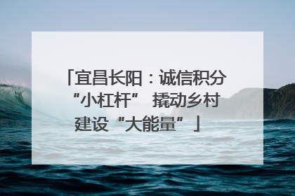 宜昌长阳：诚信积分“小杠杆” 撬动乡村建设“大能量”