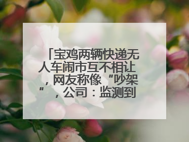 宝鸡两辆快递无人车闹市互不相让，网友称像“吵架”，公司：监测到异常会有技术或人为干预处置