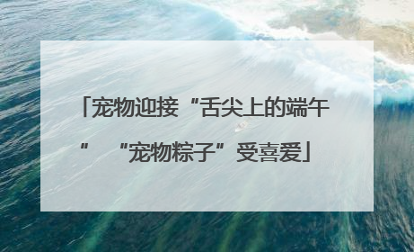 宠物迎接“舌尖上的端午” “宠物粽子”受喜爱