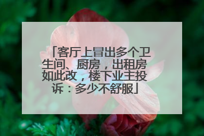 客厅上冒出多个卫生间、厨房，出租房如此改，楼下业主投诉：多少不舒服