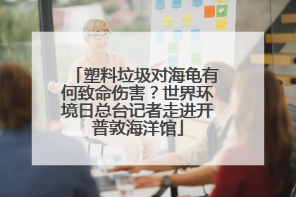 塑料垃圾对海龟有何致命伤害？世界环境日总台记者走进开普敦海洋馆
