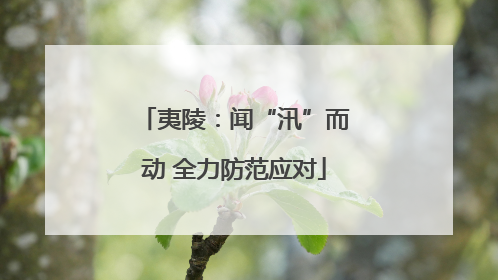 夷陵：闻“汛”而动 全力防范应对