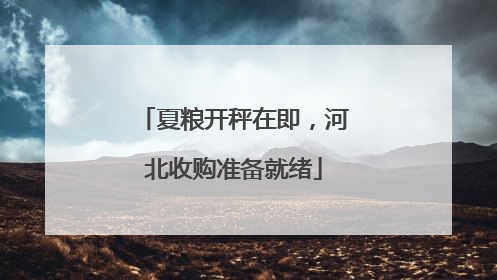 夏粮开秤在即，河北收购准备就绪
