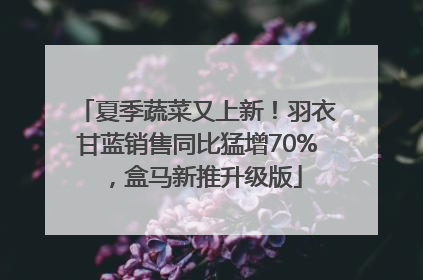 夏季蔬菜又上新！羽衣甘蓝销售同比猛增70%，盒马新推升级版