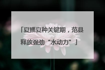 夏播夏种关键期，范县释放强劲“水动力”