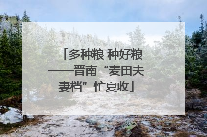 多种粮 种好粮——晋南“麦田夫妻档”忙夏收