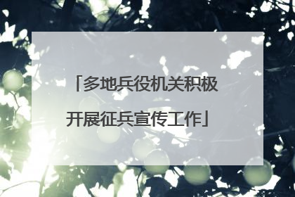 多地兵役机关积极开展征兵宣传工作