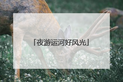 夜游运河好风光