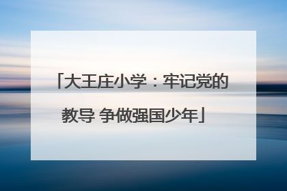 大王庄小学：牢记党的教导 争做强国少年