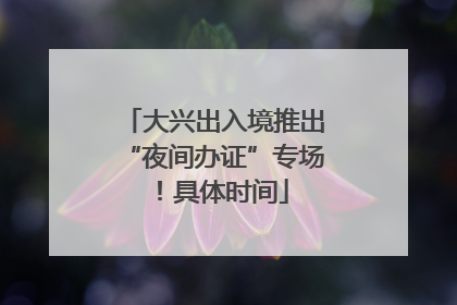大兴出入境推出“夜间办证”专场！具体时间