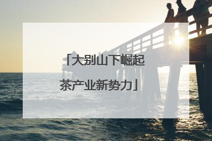 大别山下崛起茶产业新势力