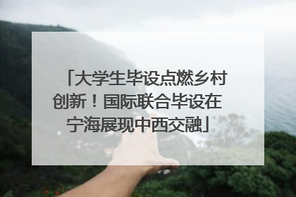 大学生毕设点燃乡村创新！国际联合毕设在宁海展现中西交融