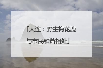 大连：野生梅花鹿与市民和谐相处