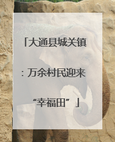 大通县城关镇：万余村民迎来“幸福田”