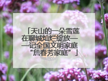 天山的一朵雪莲在聊城灿烂绽放——记全国文明家庭“詹春芳家庭”