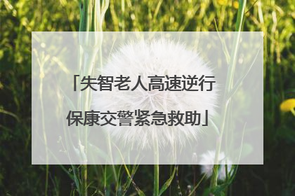 失智老人高速逆行 保康交警紧急救助