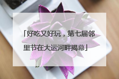 好吃又好玩，第七届邻里节在大运河畔揭幕