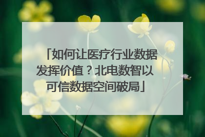 如何让医疗行业数据发挥价值？北电数智以可信数据空间破局
