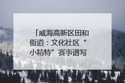 威海高新区田和街道：文化社区“小精特”赛事谱写文化赋能新乐章