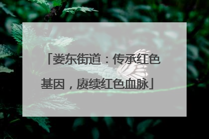 娄东街道：传承红色基因，赓续红色血脉
