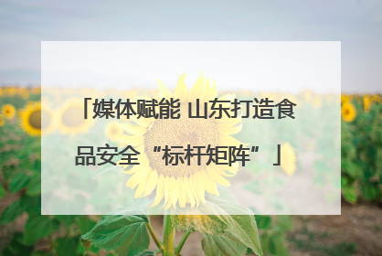 媒体赋能 山东打造食品安全“标杆矩阵”