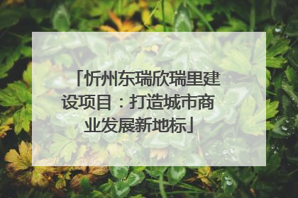 忻州东瑞欣瑞里建设项目：打造城市商业发展新地标
