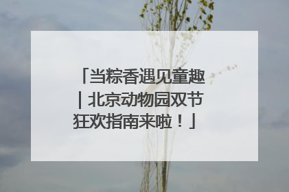 当粽香遇见童趣｜北京动物园双节狂欢指南来啦！