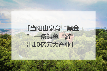 当阳山泉育“黑金” 一条鲟鱼“游”出10亿元大产业