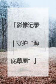 影像记录｜守护“海底草原”