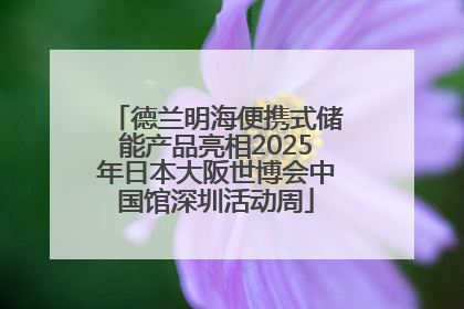 德兰明海便携式储能产品亮相2025年日本大阪世博会中国馆深圳活动周