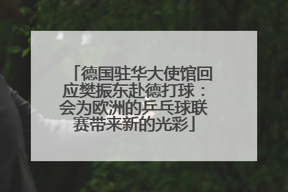 德国驻华大使馆回应樊振东赴德打球：会为欧洲的乒乓球联赛带来新的光彩