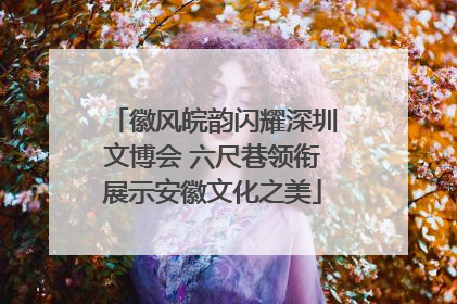 徽风皖韵闪耀深圳文博会 六尺巷领衔展示安徽文化之美