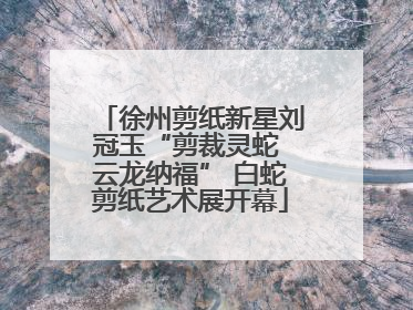 徐州剪纸新星刘冠玉“剪裁灵蛇 云龙纳福” 白蛇剪纸艺术展开幕