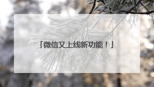 微信又上线新功能！