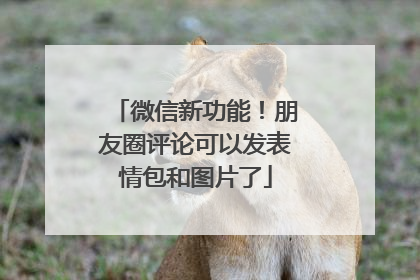 微信新功能！朋友圈评论可以发表情包和图片了