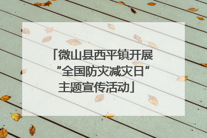 微山县西平镇开展“全国防灾减灾日”主题宣传活动