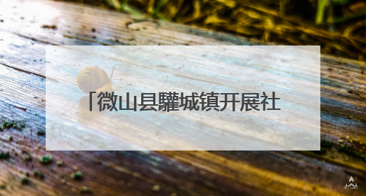 微山县驩城镇开展社保换卡进社区活动
