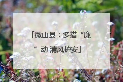 微山县：多措“廉”动 清风护安