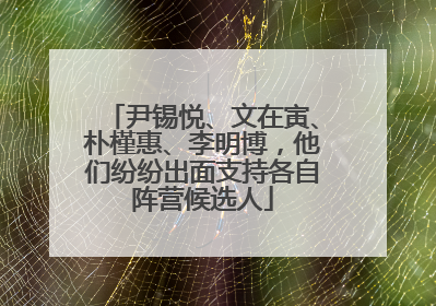 尹锡悦、文在寅、朴槿惠、李明博，他们纷纷出面支持各自阵营候选人