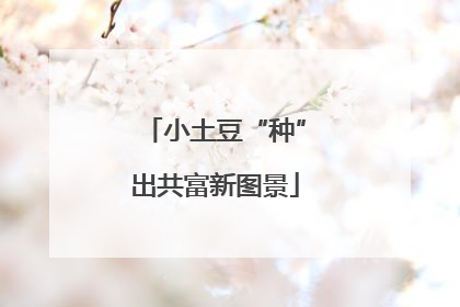小土豆“种”出共富新图景
