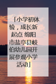小学初体验，成长新起点 绵阳市盐亭县岐伯幼儿园开展参观小学活动