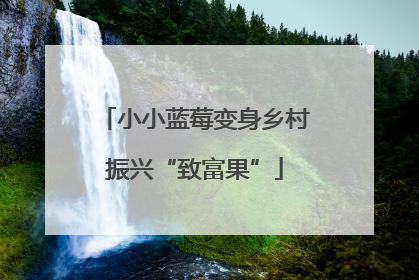 小小蓝莓变身乡村振兴“致富果”