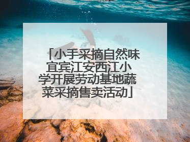 小手采摘自然味 宜宾江安西江小学开展劳动基地蔬菜采摘售卖活动