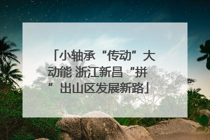 小轴承“传动”大动能 浙江新昌“拼”出山区发展新路