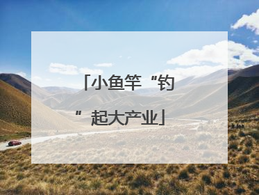 小鱼竿“钓”起大产业